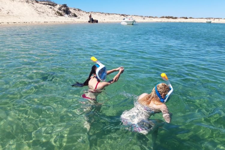 Snorkeling - Ecomarine Algarve