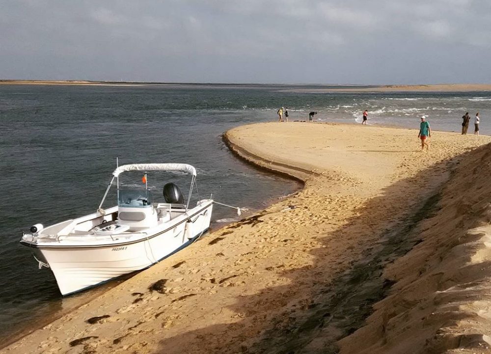 Ria Formosa - Barrinha beach - Ecomarine boat tours